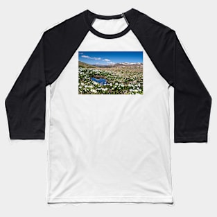 Summer in Colorado Baseball T-Shirt